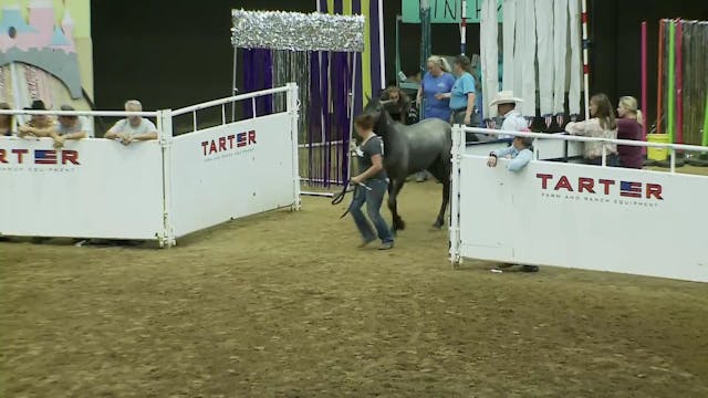 Youth Freestyle Class - Stephanie Frost