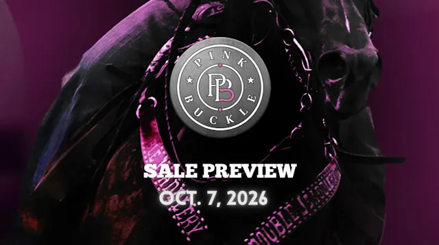 Sale Preview | Pink Buckle | October ...