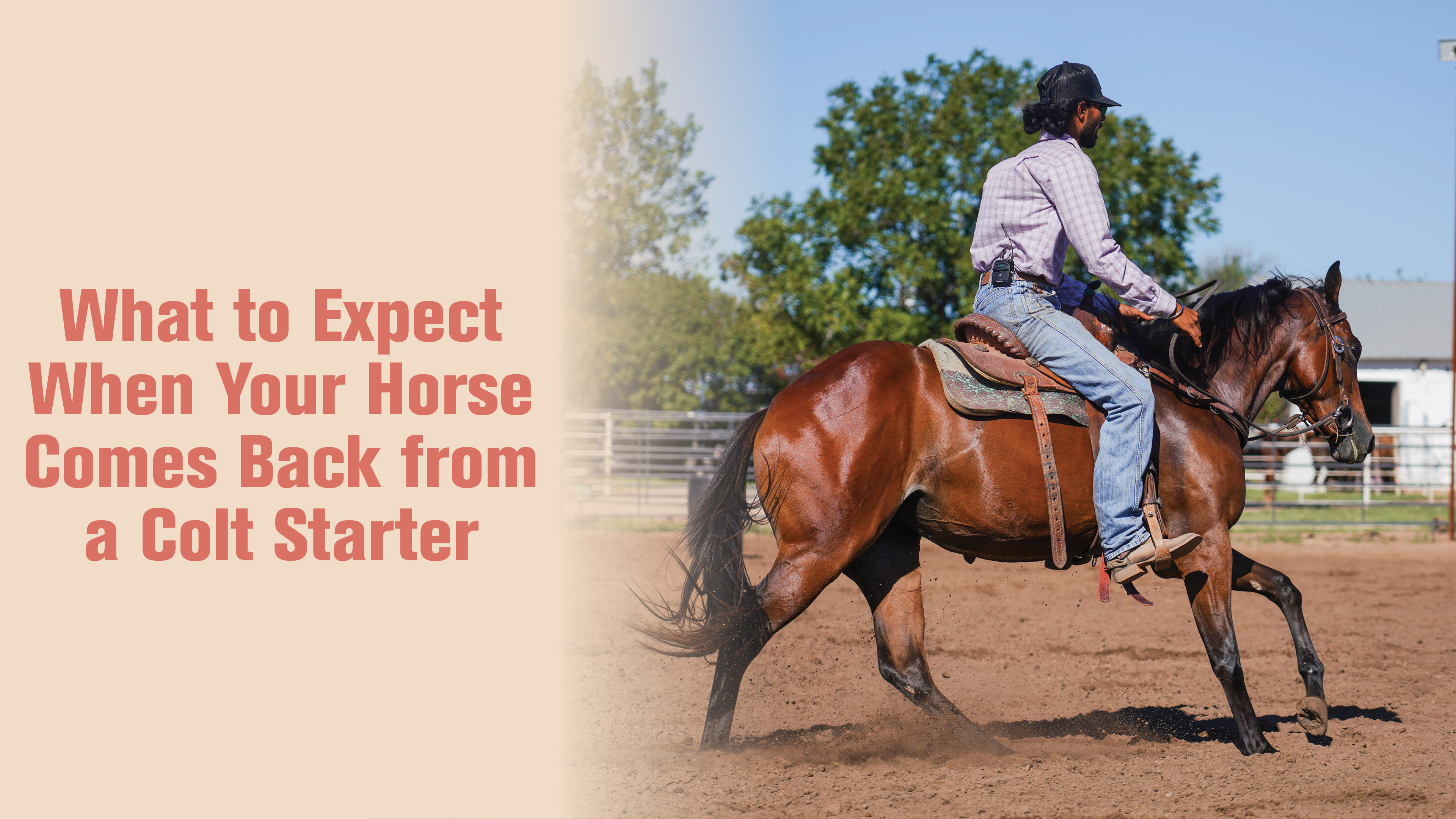 What to Expect When Your Horse Comes Back from a Colt Starter