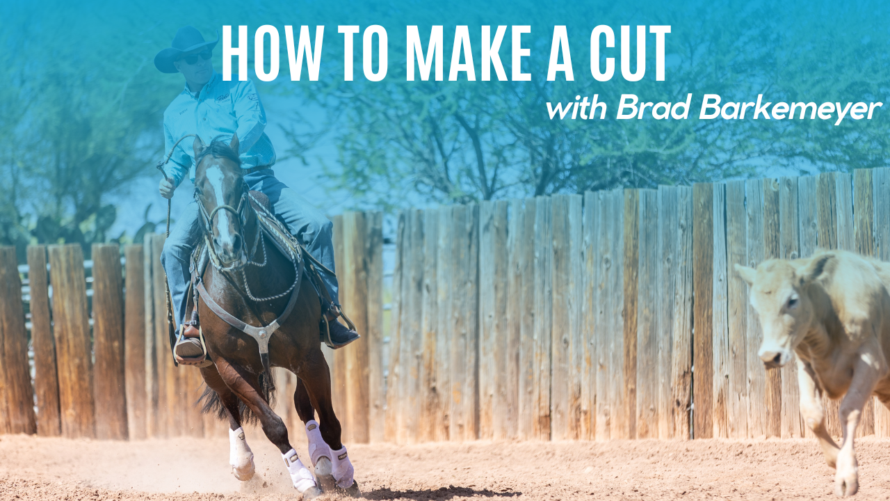 How to Make a Cut