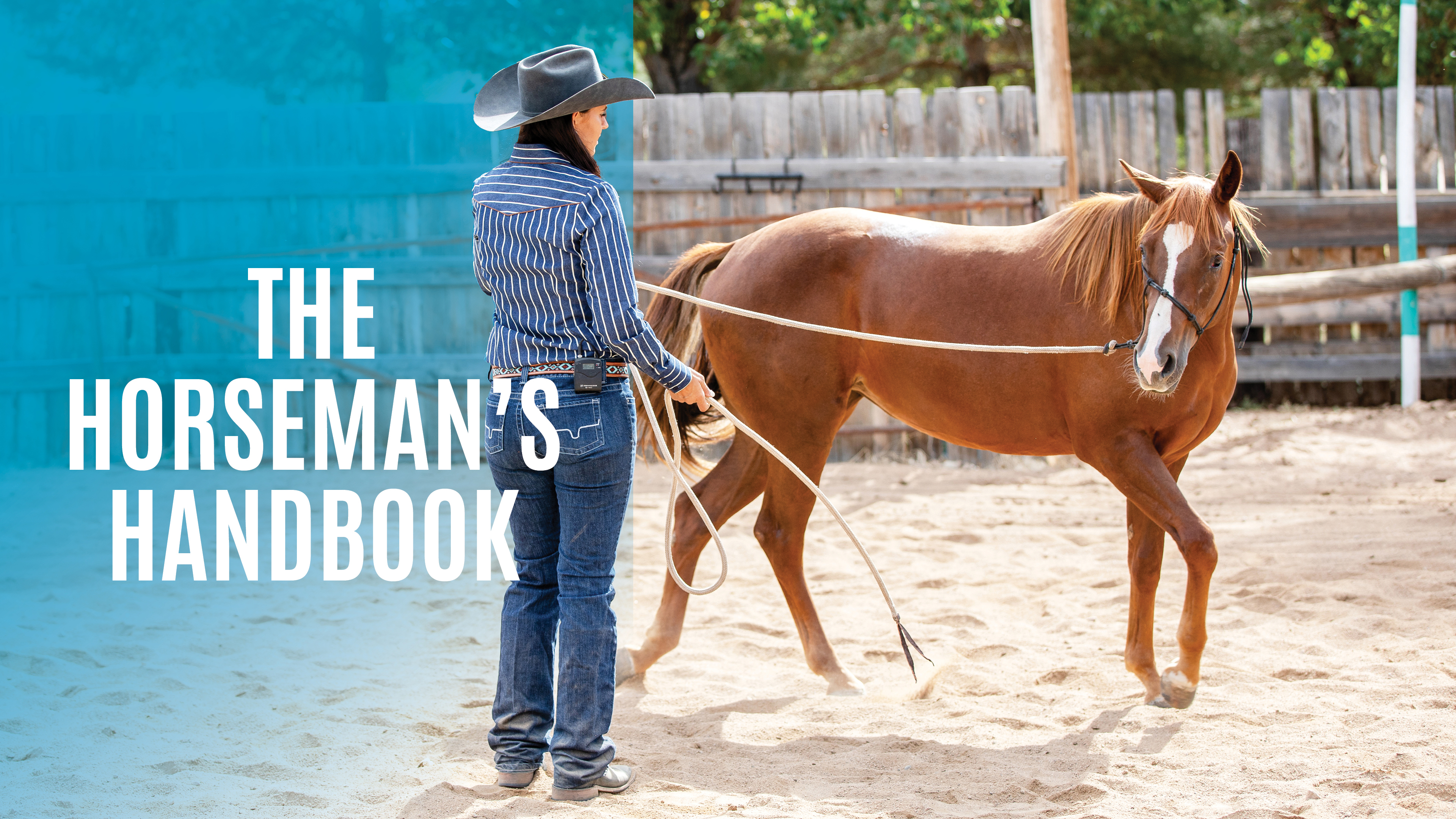 The Horseman's Handbook