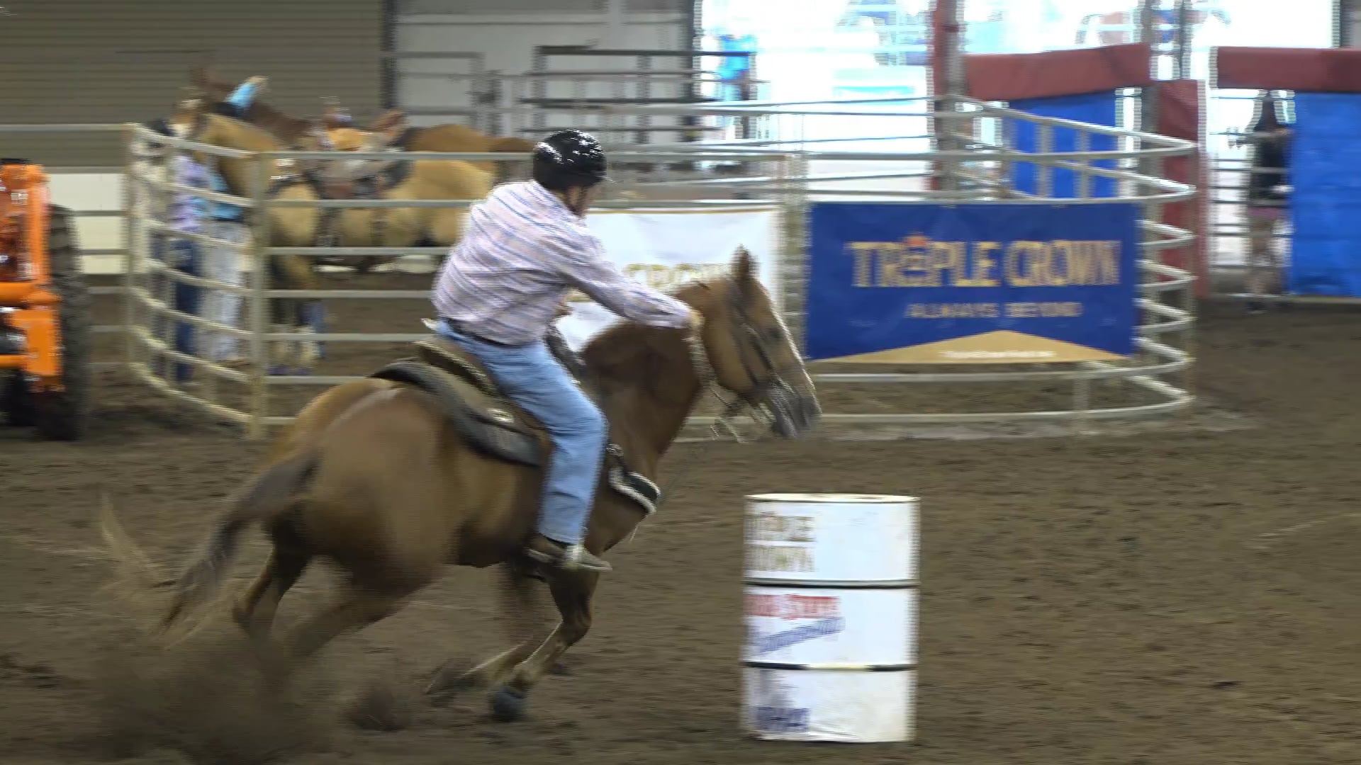 2019 NBHA GA Op2 #250-246