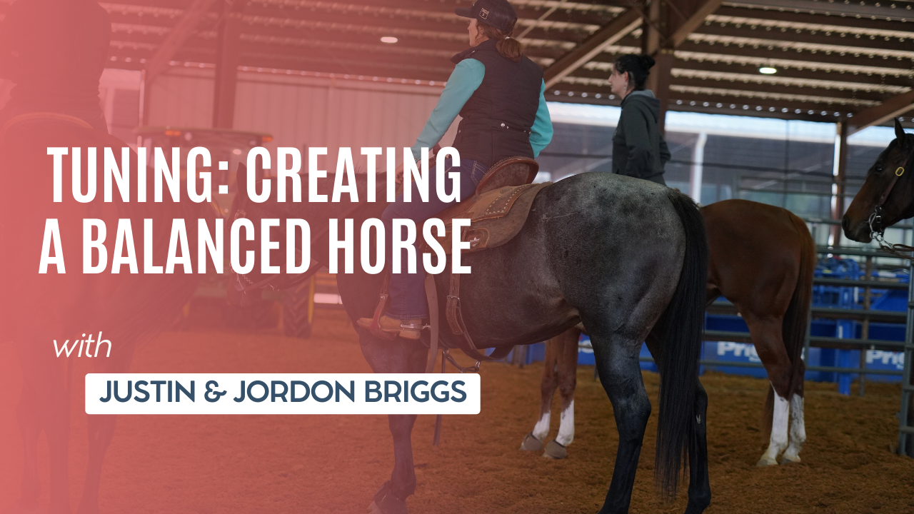 Tuning: Creating a Balanced Horse