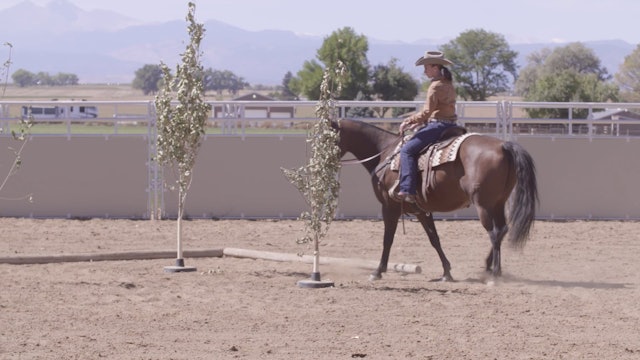 Green Ranch Horse Backup Drills