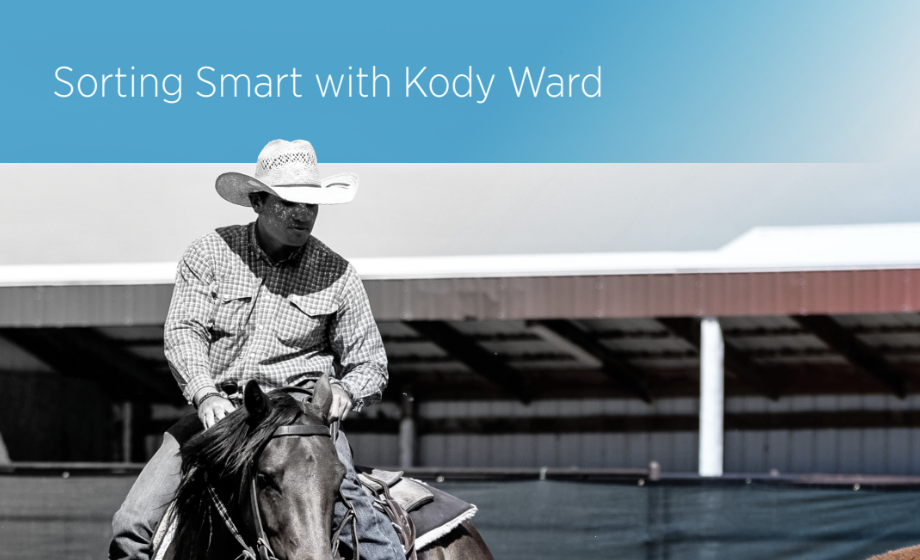 Sorting Smart with Kody Ward Workbook