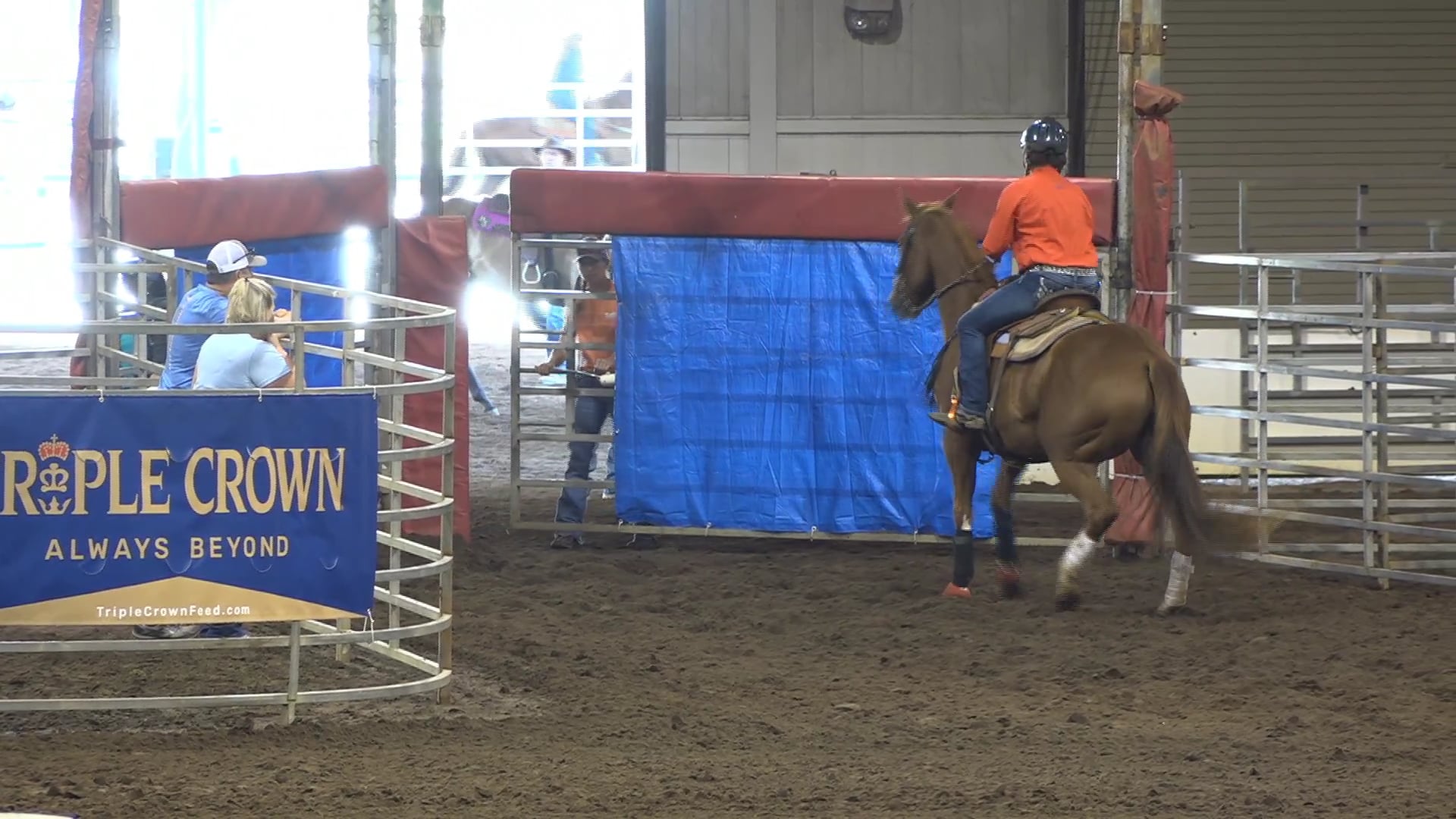 2019 NBHA GA Y1 #191-195