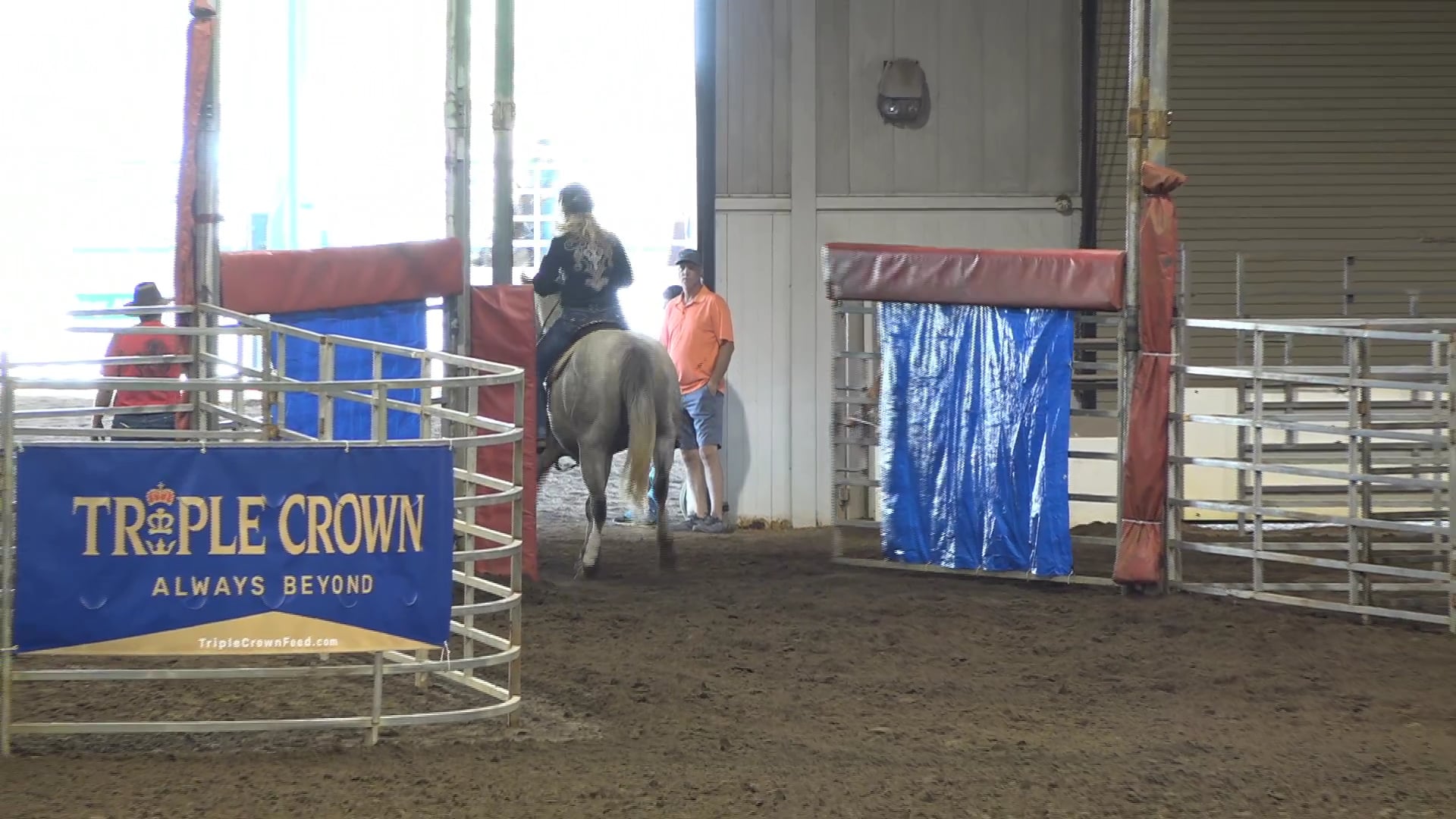 2019 NBHA GA Y1 #206End