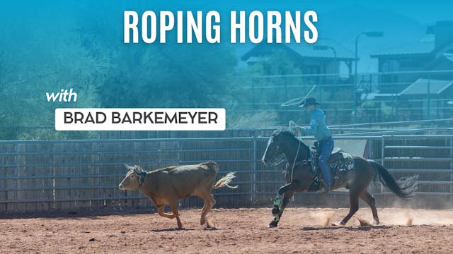 Roping Horns