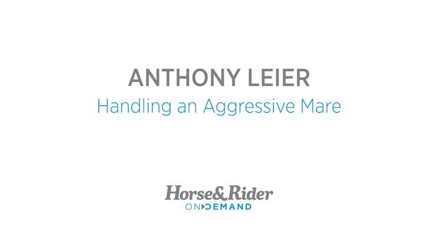 Handling an Agressive Mare