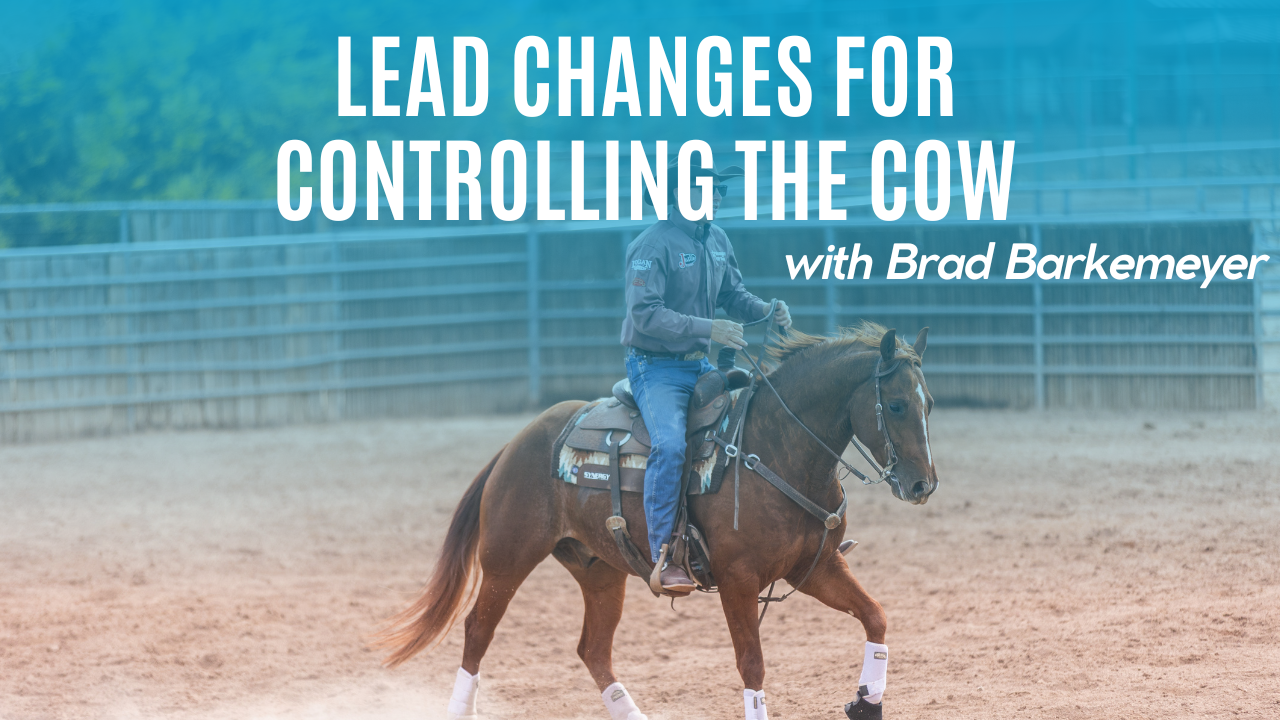 Lead Changes for Controlling the Cow