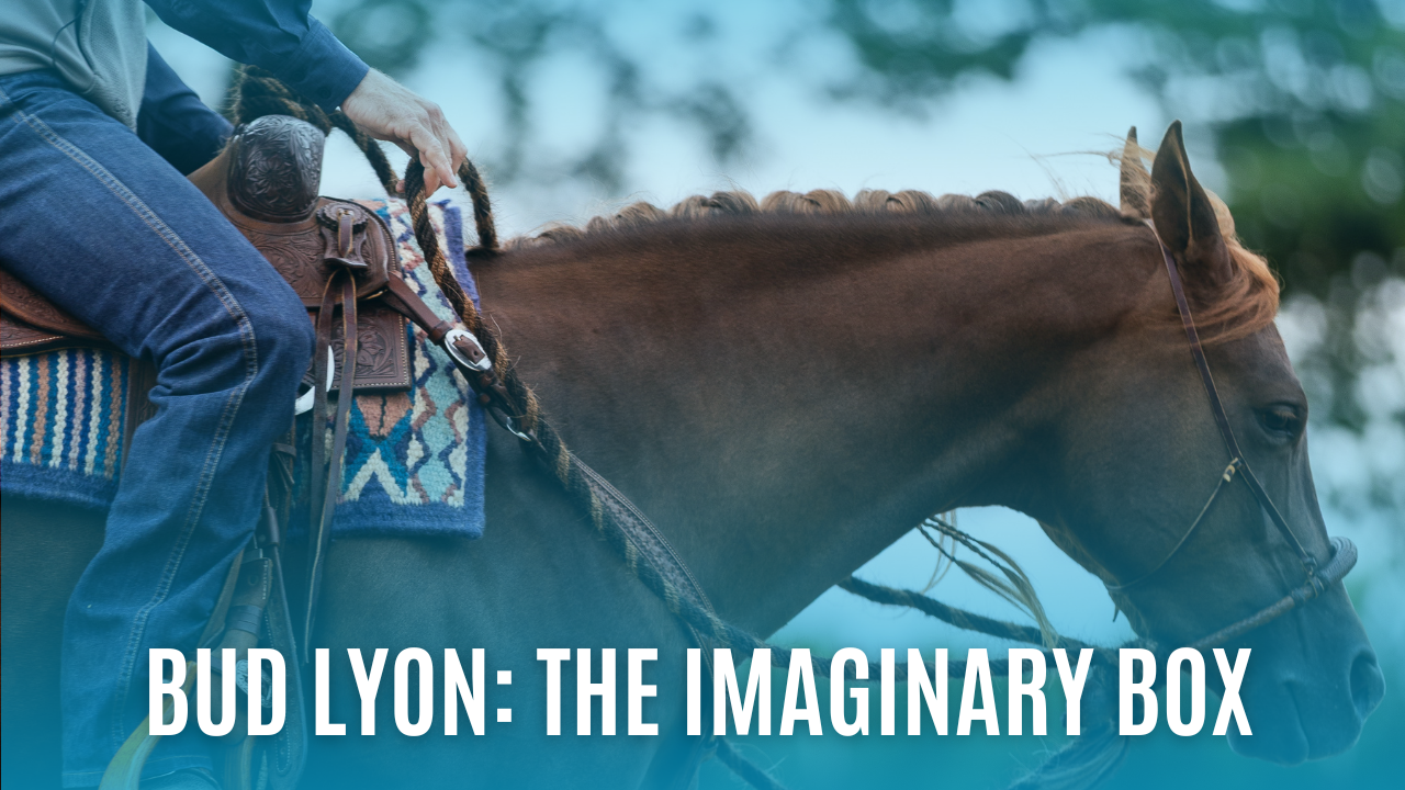 Bud Lyon: The Imaginary Box