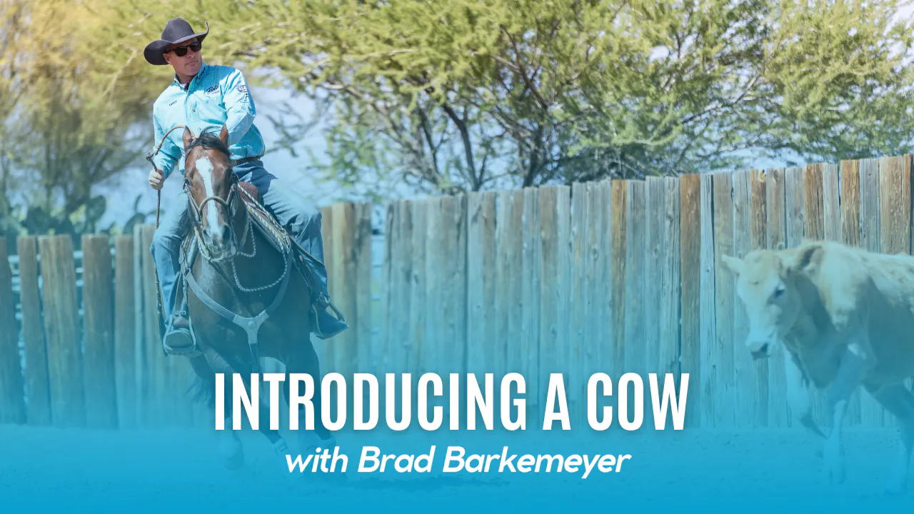 Chris Jenner Cow Ride Introducing a Cow - Scoring, Skills & Strategy with Brad Barkemeyer ...