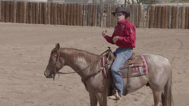 Teaching the Neck Rein