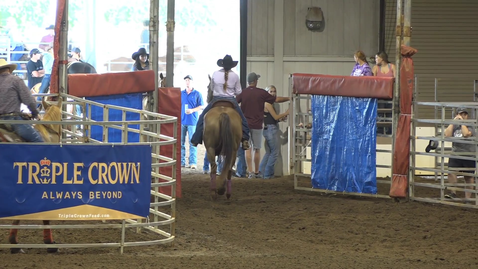 2019 NBHA GA Op1 #376-380