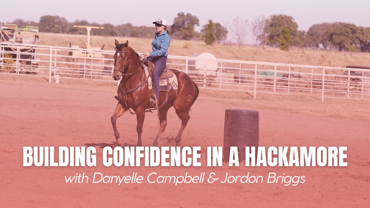 Building Confidence In a Hackamore