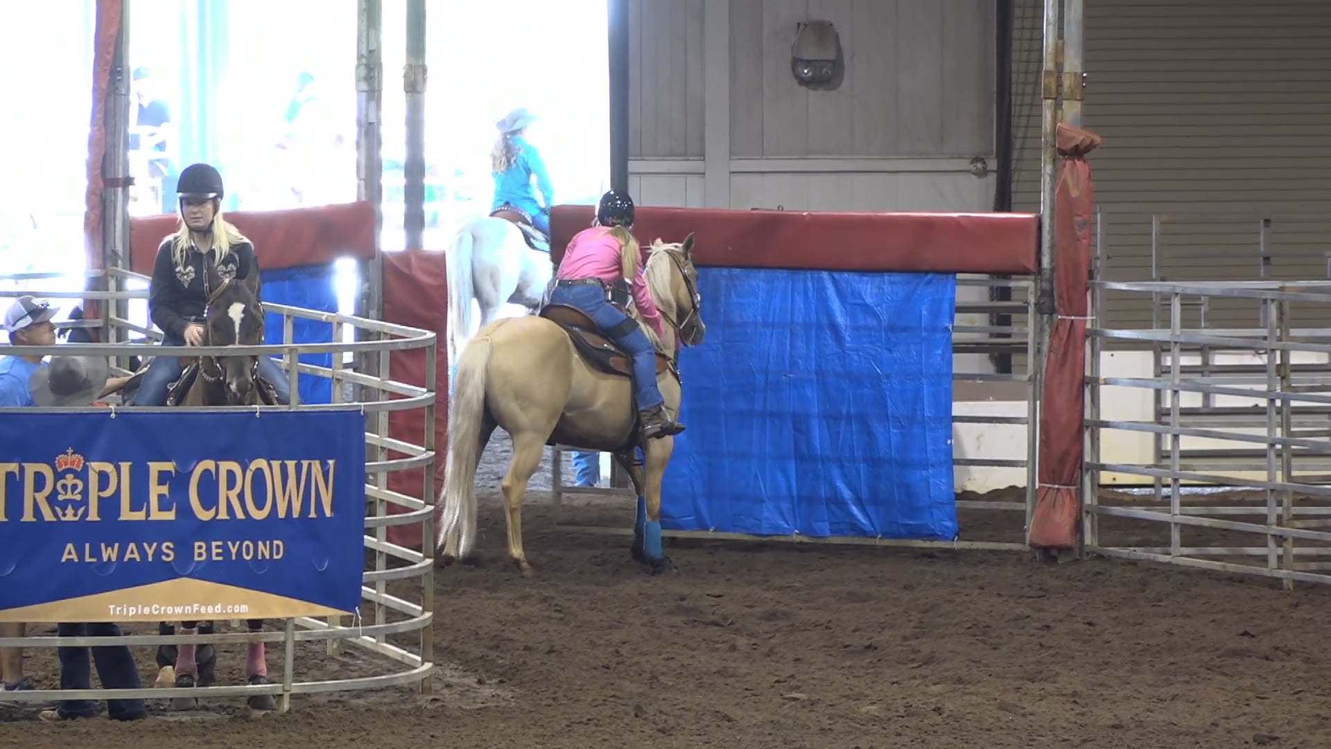 2019 NBHA GA Y1 #171-175