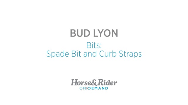 Bits: Spade Bit and Curb Straps