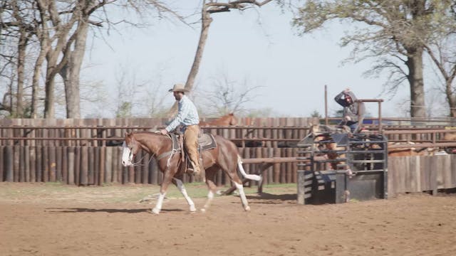 Matching the Speed of the Steer