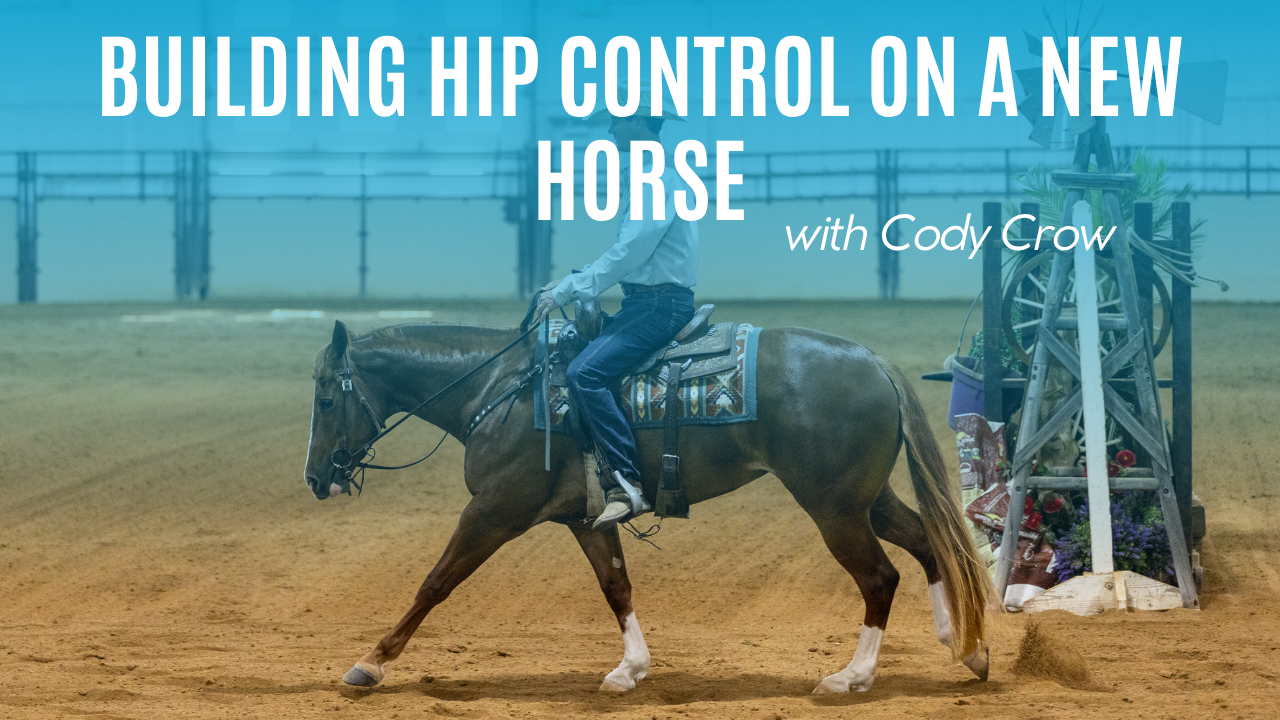 Cody Crow: Building Hip Control on a New Horse