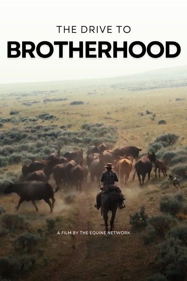 The Drive to Brotherhood Presented by Sentinel Horse Feeds