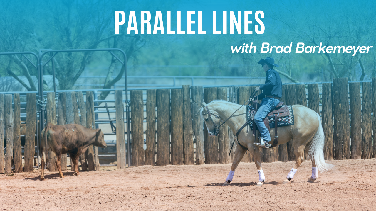 Parallel Lines