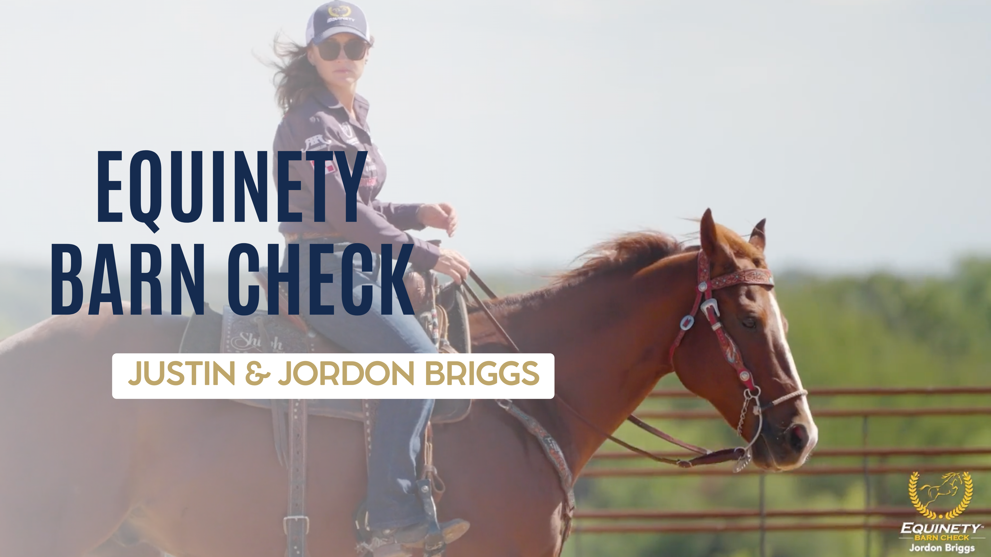 Briggs Equinety Barn Check 