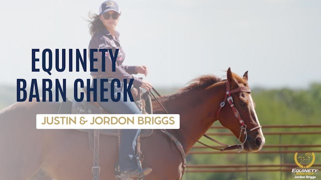 Briggs Equinety Barn Check