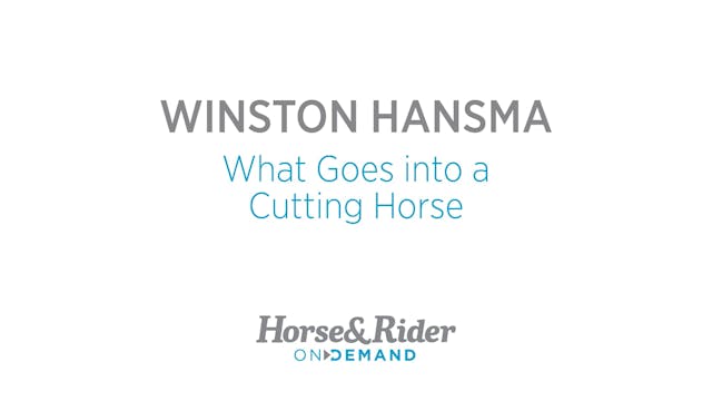 What Goes Into a Cutting Horse