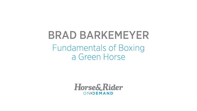 The Fundamentals of Boxing a Green Horse