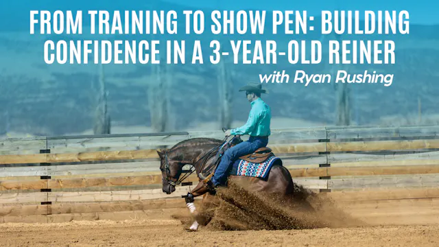 From Training to Show Pen: Building C...