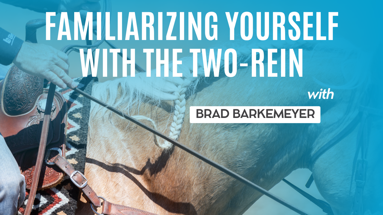 Familiarizing Yourself With the Two-Rein