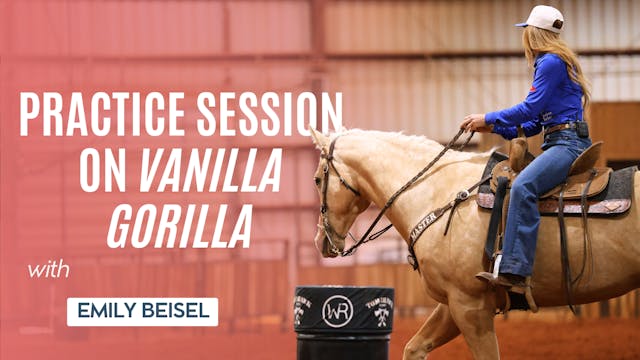 Practice Session on Vanilla Gorilla