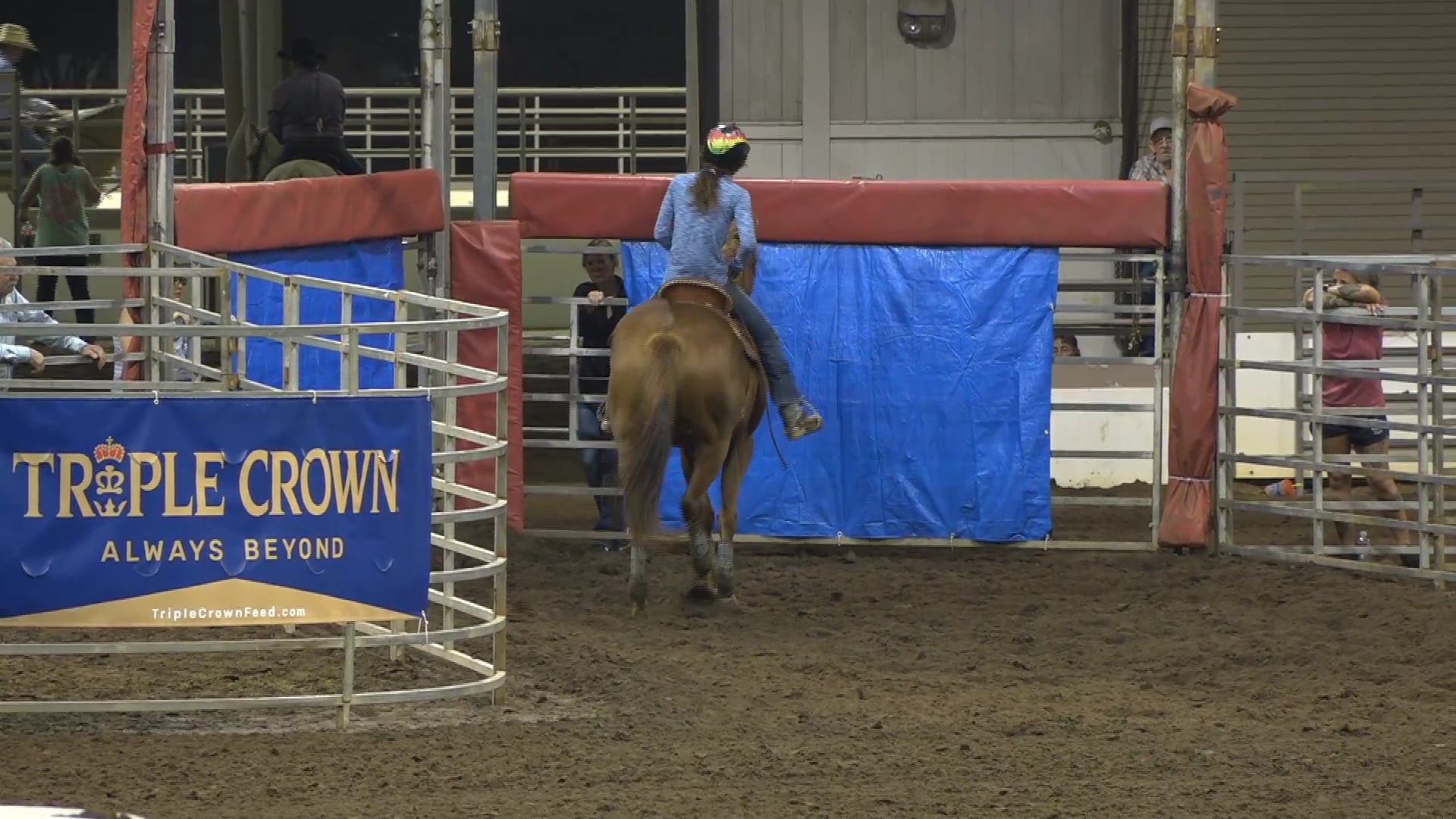 2019 NBHA GA Op2 #020-016