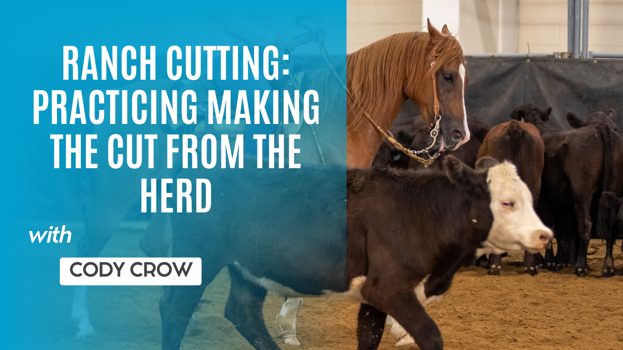 Ranch Cutting: Practicing Making the Cut From the Herd