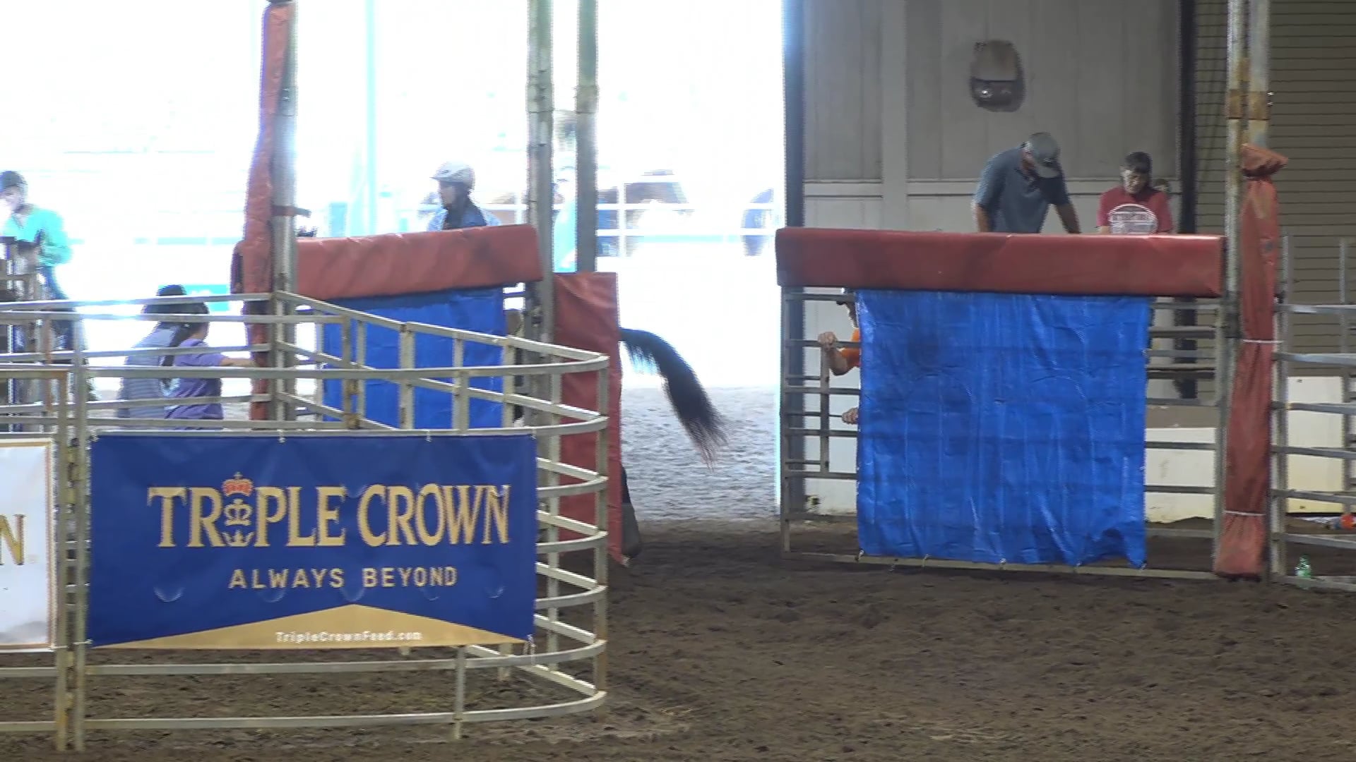 2019 NBHA GA YF #021-025