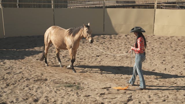 Backing a Circle on the Ground