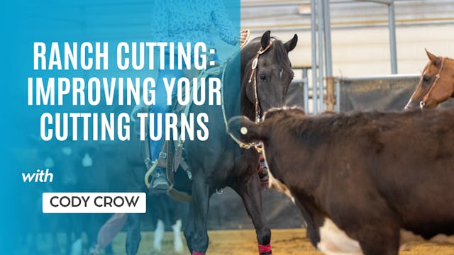 Ranch Cutting: Improve Your Cutting T...