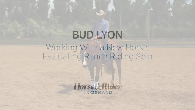 Working With a New Horse: Evaluating ...
