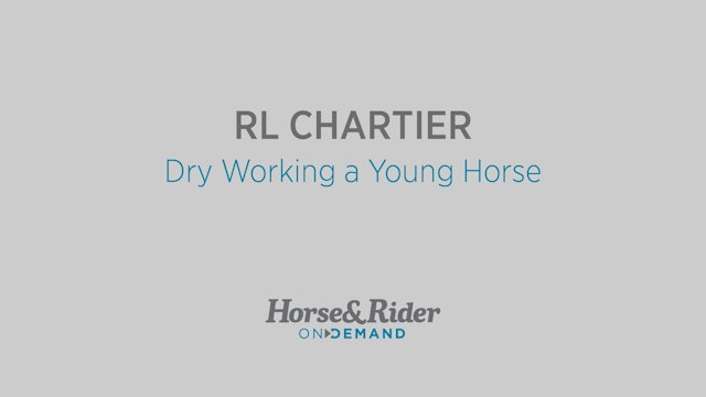 Dry Working a Young Horse