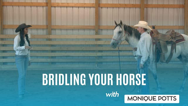 Bridling Your Horse With Monique Potts