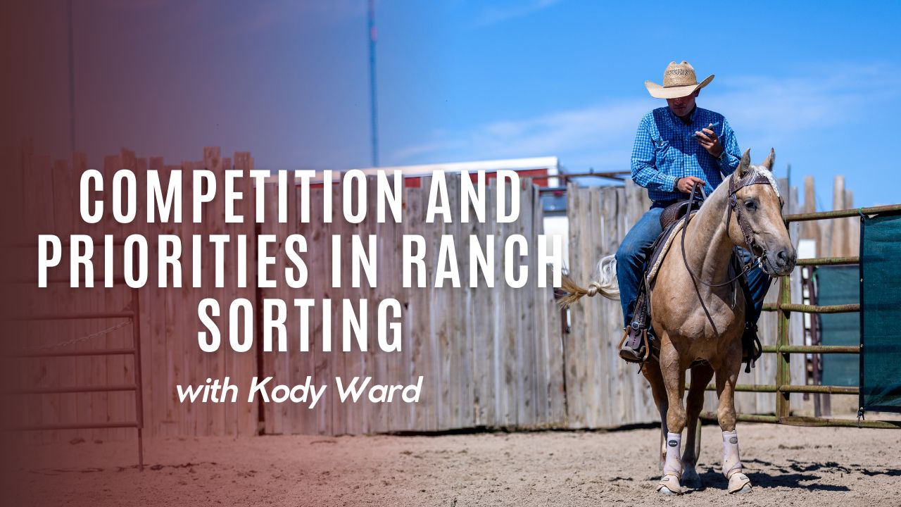 Competition and Priorities in Ranch Sorting With Kody Ward