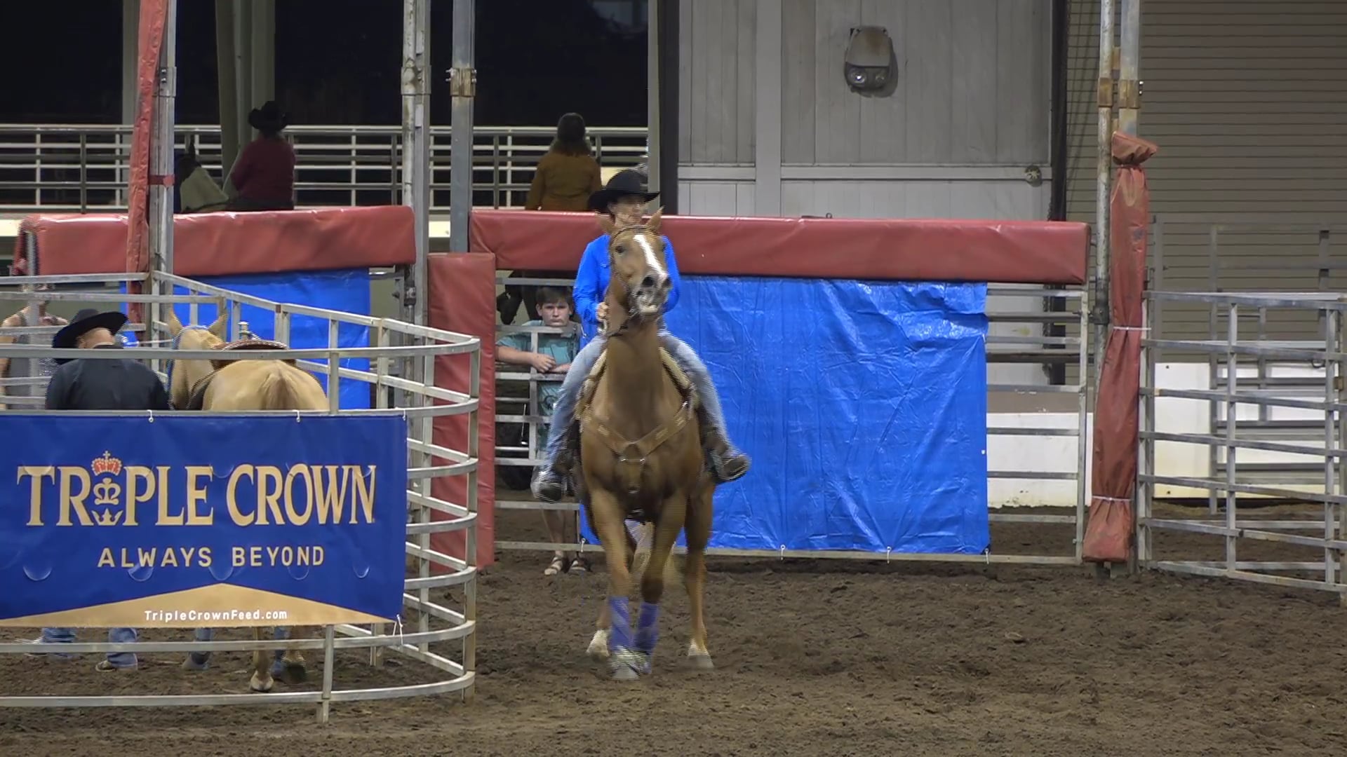 2019 NBHA GA Sr #051-055