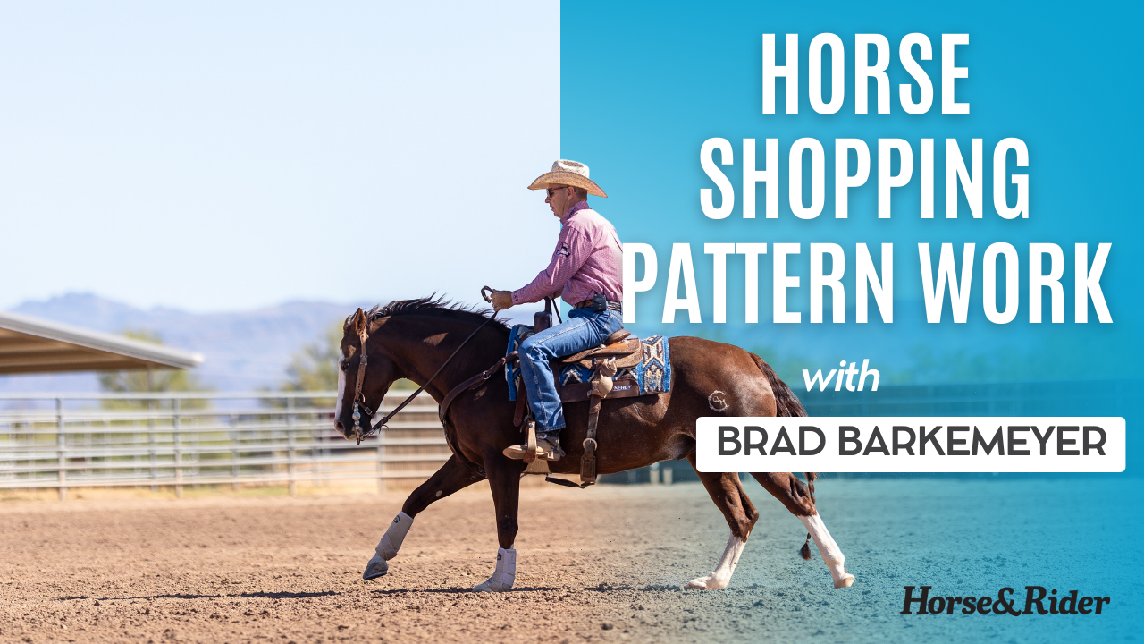 Horse Shopping Pattern Work
