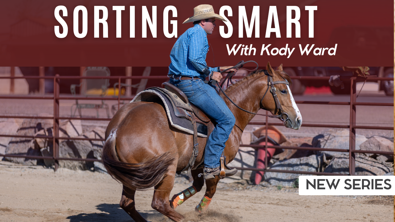 Sorting Smart with Kody Ward