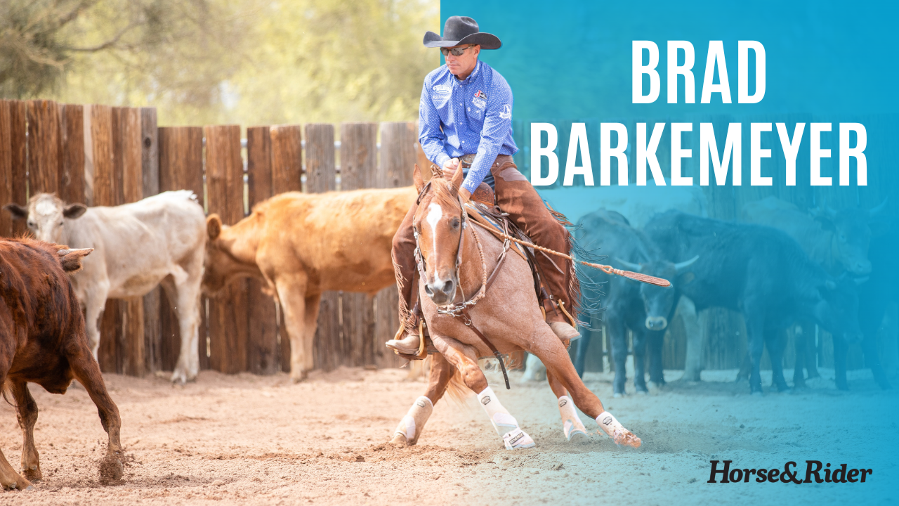 Brad Barkemeyer