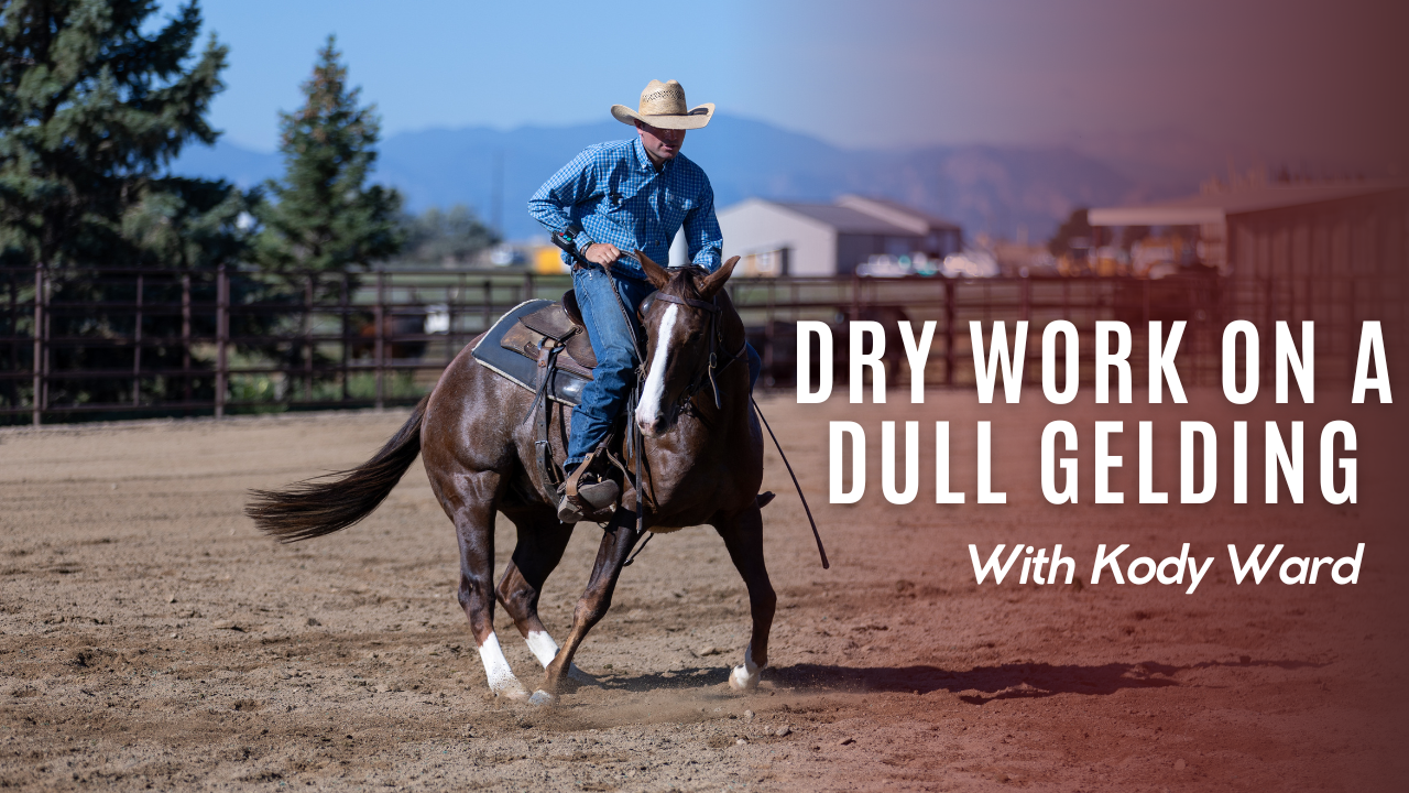 Dry Work on a Dull Gelding
