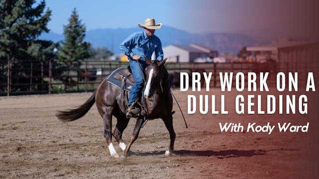 Dry Work on a Dull Gelding