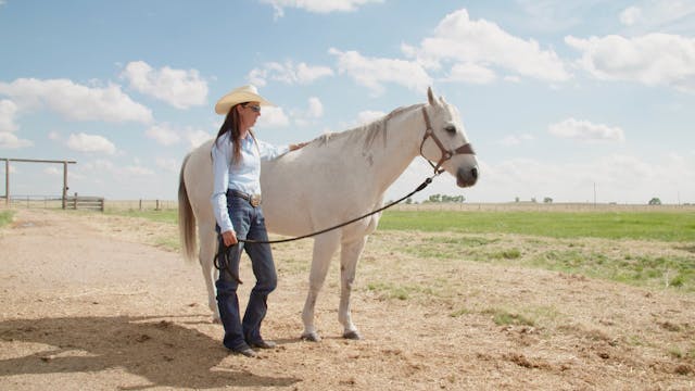 Horse Story:Carley Cervi and Radio