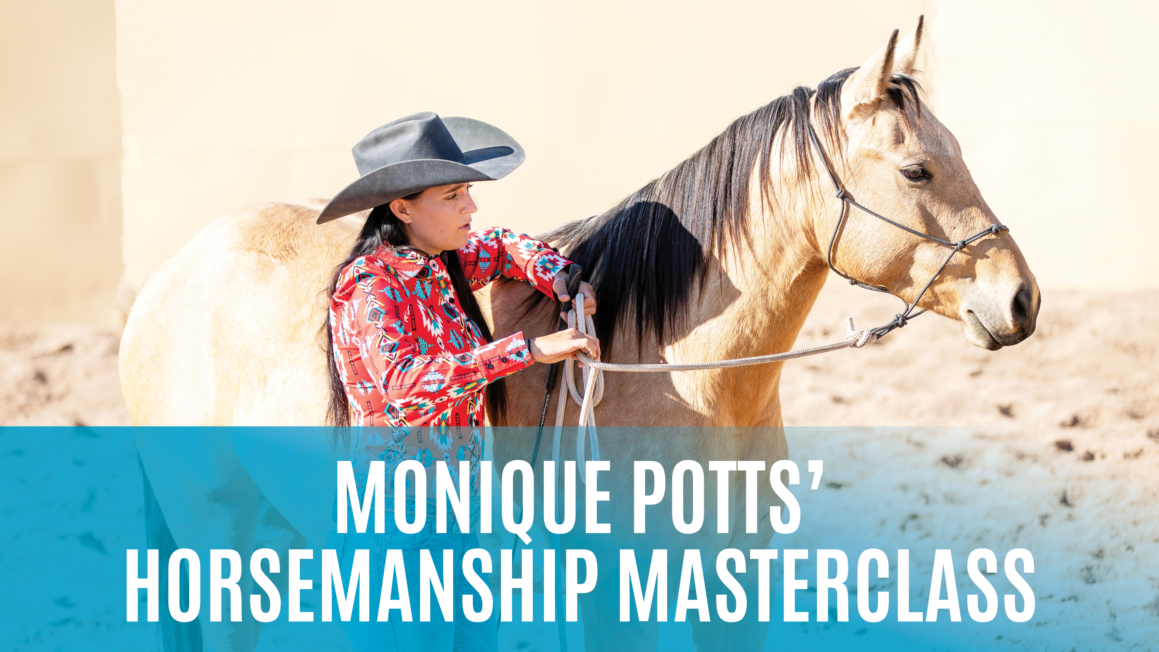Monique Potts' Horsemanship Masterclass