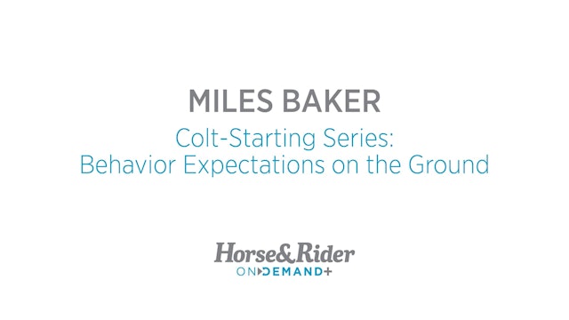 Colt-Starting Series: Behavior Expectations on the Ground